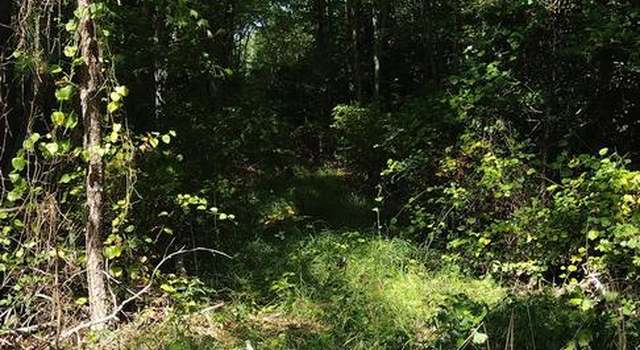 Photo of 0 Jesterville Rd, Bivalve, MD 21814