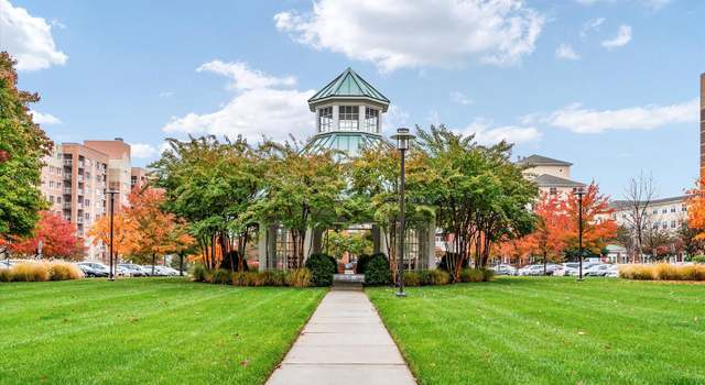 Photo of 12251 Roundwood Rd #510, Lutherville Timonium, MD 21093
