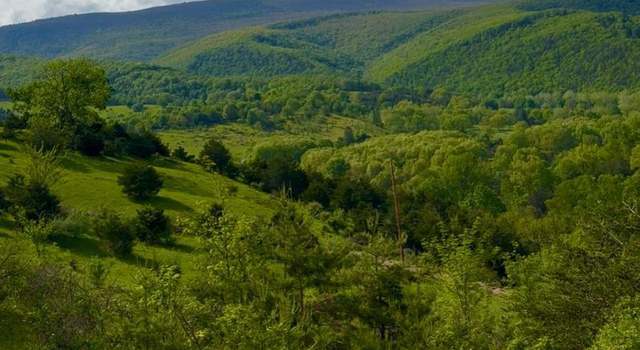 Photo of 411 Rimfire Road; Jordan Run Rd, Maysville, WV 26833