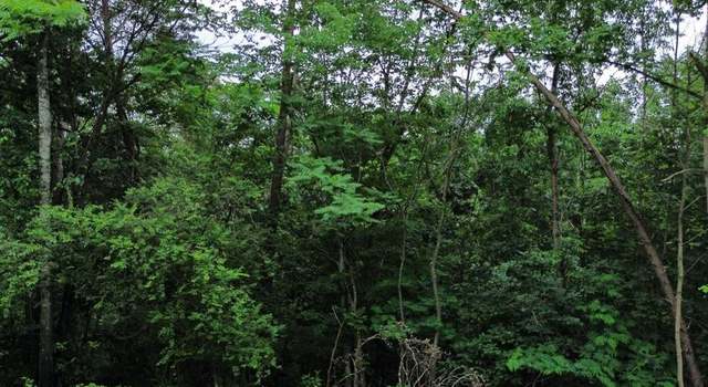 Photo of LOT 9 Lookout Dr, VA 22849