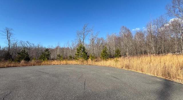 Photo of Catkin, King George, VA 22485