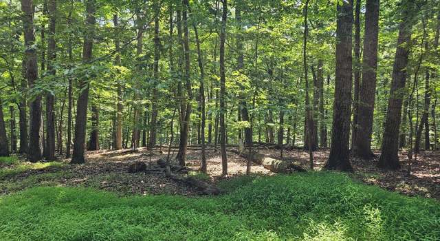 Photo of Dogwood Ln, Bluemont, VA 20135