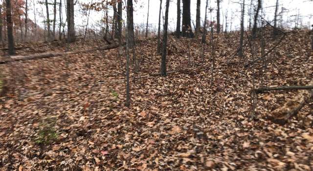 Photo of Lot 39 Silkwood Dr, Bunker Hill, WV 25413