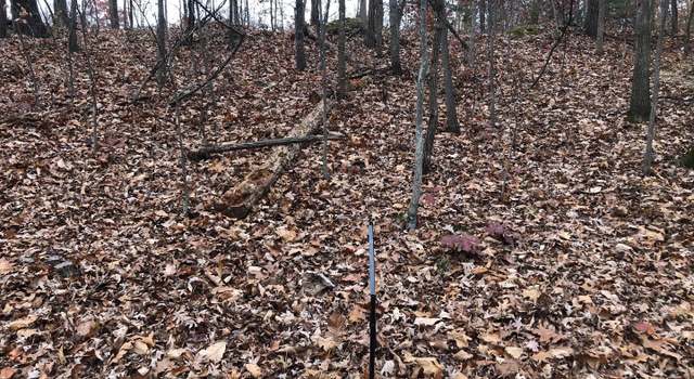 Photo of Lot 39 Silkwood Dr, Bunker Hill, WV 25413