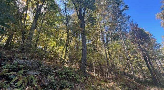 Photo of Cliff Heights Rd, Stanley, VA 22851