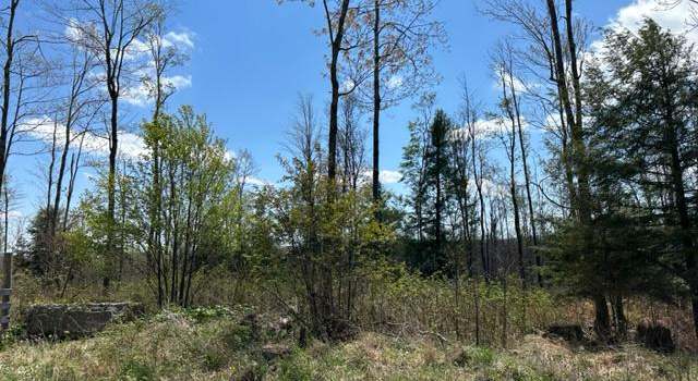 Photo of Cherry Ridge Road (lot 1), Mount Storm, WV 26739