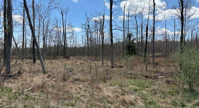 Photo of Cherry Ridge Road (lot 2), Mount Storm, WV 26739