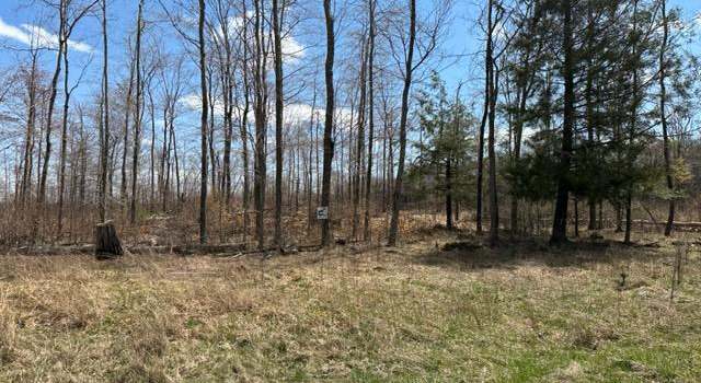 Photo of Cherry Ridge Road (lot 4), Mount Storm, WV 26739