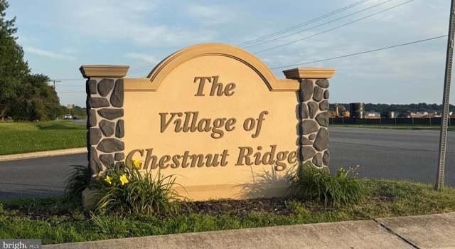 Photo of 174 W Chestnut Ridge Dr, Magnolia, DE 19962
