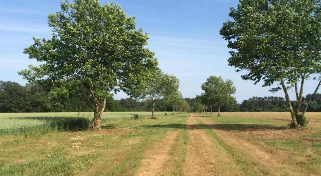 Photo of Lot 15 Metompkin Rd, Parksley, VA 23421