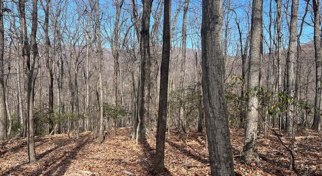 Photo of Crimm's Run Ln, Washington, VA 22747