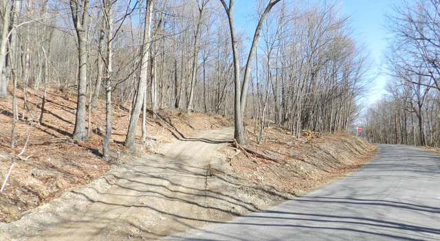 Photo of 18.87 Acres Elbinsville Rd, Flintstone, MD 21530