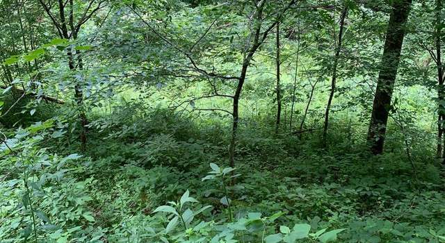 Photo of Route 5, Renick, WV 24966