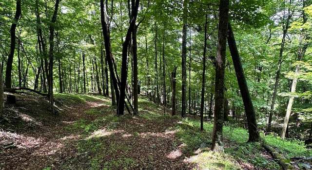 Photo of 114 acs Patterson Creek Rd, Lahmansville, WV 26731