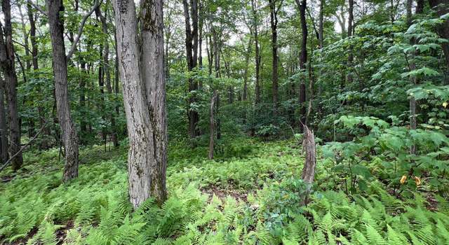 Photo of Lot 138 Bellows Way Rd, Claysburg, PA 16625