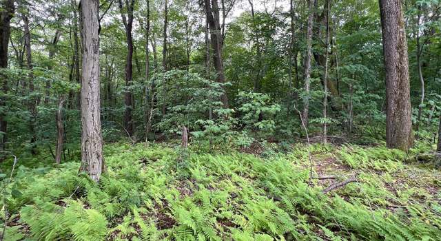 Photo of Lot 138 Bellows Way Rd, Claysburg, PA 16625
