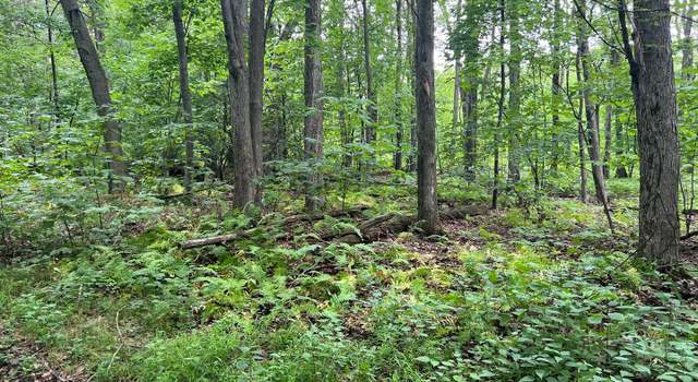 Photo of Lot 138 Bellows Way Rd, Claysburg, PA 16625