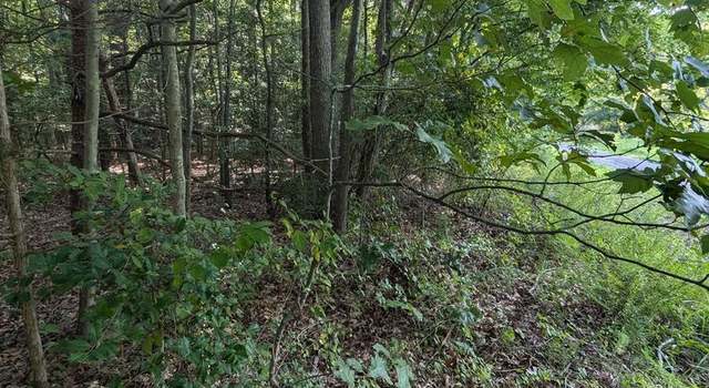 Photo of 36810 Bushwood Dr, Bushwood, MD 20618