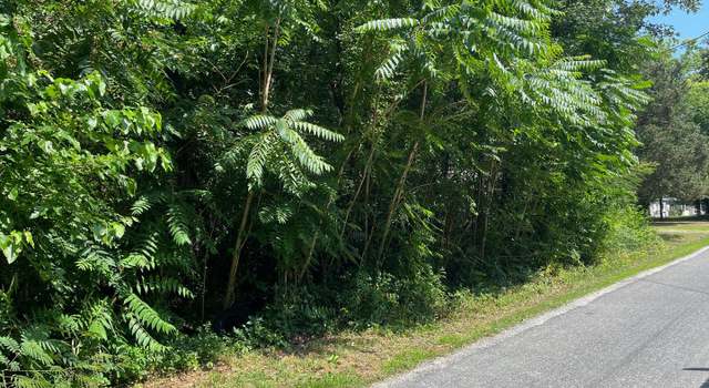 Photo of 0 Forest Grv, Colonial Beach, VA 22443