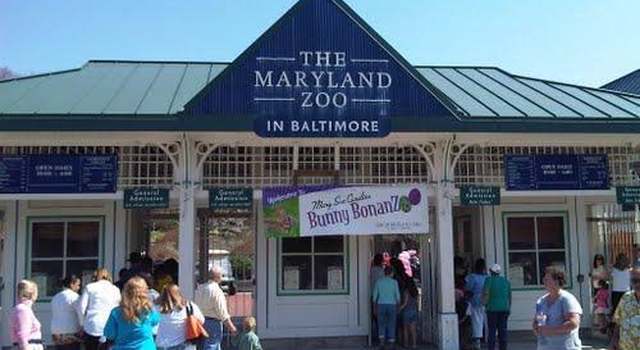 Photo of 909 Chauncey Ave, Baltimore, MD 21217