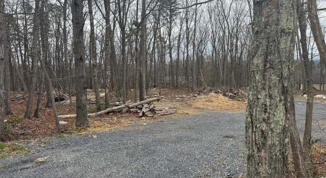 Photo of Bluebird Trl, Winchester, VA 22602