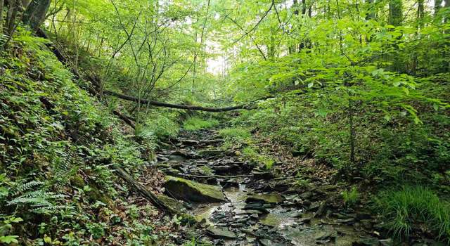 Photo of Tract 1 John Orr/ Sand Plant Rd, WV 26374