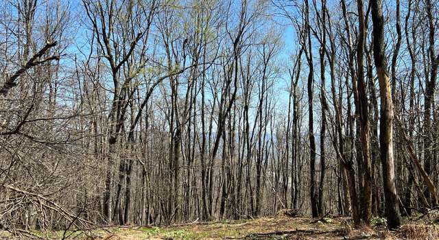 Photo of Lot 162 Shawnee View Rd, Central City, PA 15926