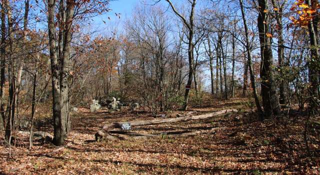 Photo of Bear Trl, Winchester, VA 22602