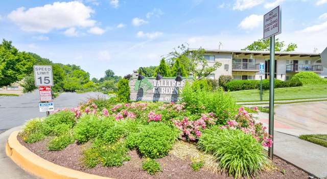 Photo of 4943 Americana Dr #201, Annandale, VA 22003