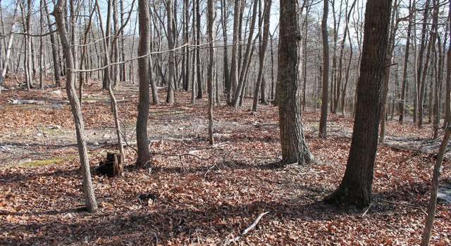 Photo of 0 Bluebird Trl, Winchester, VA 22602