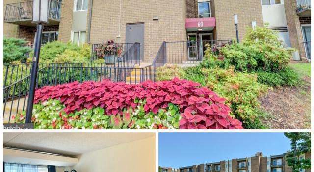 Photo of 60 S Van Dorn St #313, Alexandria, VA 22304