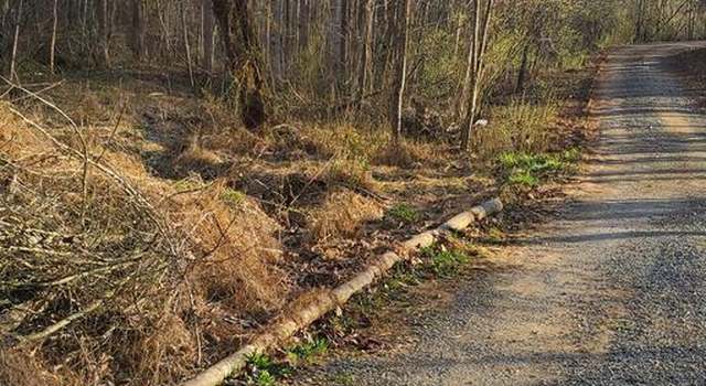 Photo of 0 Roberts Ln, Rixeyville, VA 22737