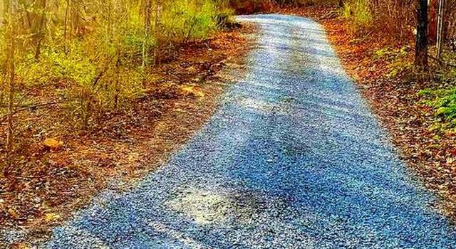 Photo of 0 Roberts Ln, Rixeyville, VA 22737