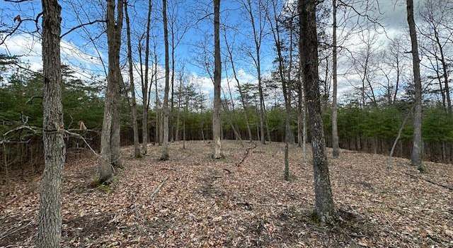 Photo of 8.86 AC Middle Ridge Ests, Burlington, WV 26710