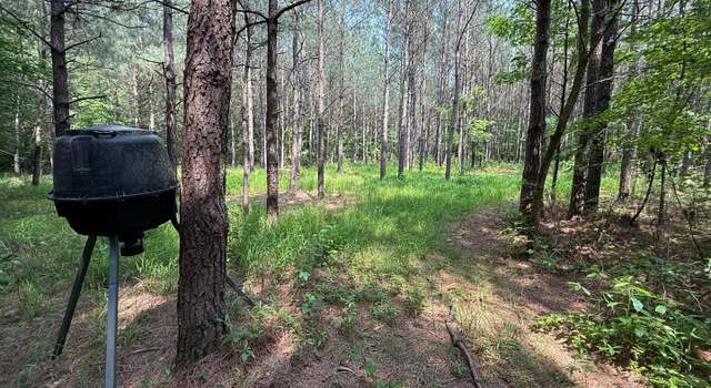Photo of 0 Morris Rd, Pittsville, MD 21850