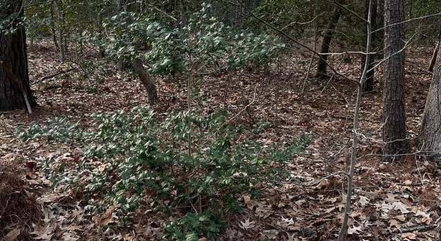 Photo of Lot 33 Richardson St, Hague, VA 22469