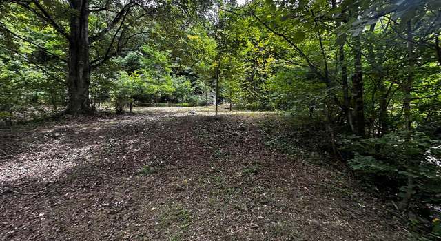 Photo of Gooseman Trail - Off Rt# 50, New Creek, WV 26743