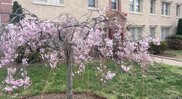 Photo of 2625 3rd St NE #105, Washington, DC 20002
