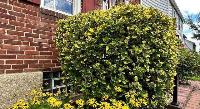 Photo of 101 Maiden Choice Ln, Baltimore, MD 21228