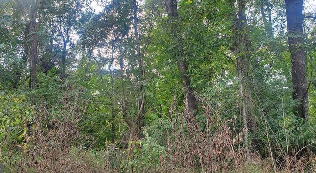 Photo of Lot 354 River View Shores Dr, Front Royal, VA 22630
