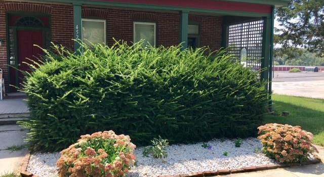 Photo of 452 Queen St W, Chambersburg, PA 17201