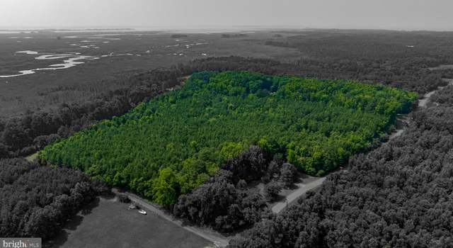 Photo of 0 Jesterville Rd, Tyaskin, MD 21865