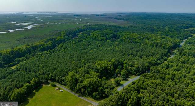 Photo of 0 Jesterville Rd, Tyaskin, MD 21865