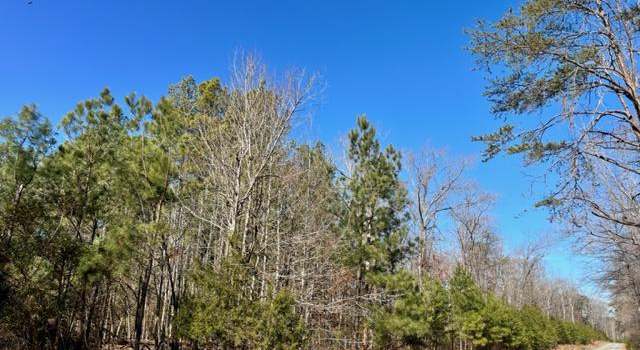 Photo of Smallwood Church Rd, Indian Head, MD 20640