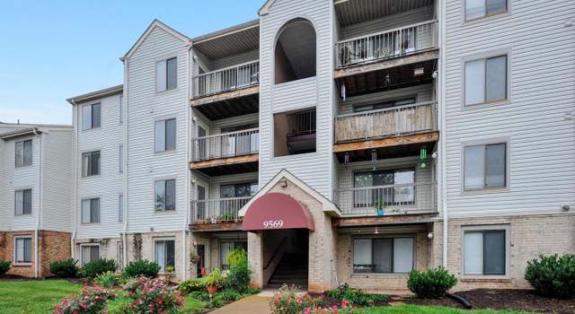 Photo of 9569 Coggs Bill Dr #401, Manassas, VA 20110