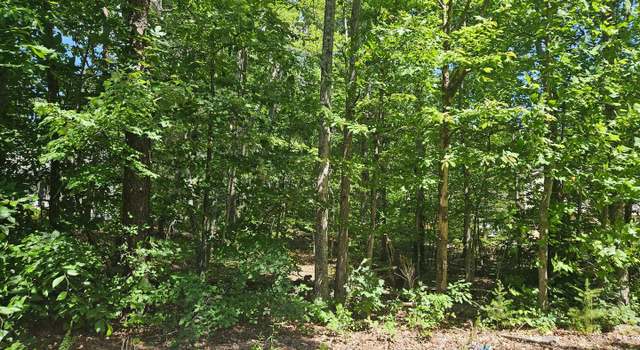 Photo of 12817 Plantation Dr, Spotsylvania, VA 22551