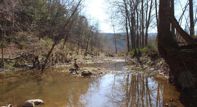 Photo of 16.75 AC Kilgore Rd, Great Cacapon, WV 25422