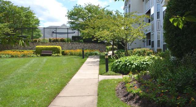 Photo of 512 Sunset View Ter SE #406, Leesburg, VA 20175
