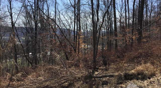 Photo of Kaetzel Rd, Rohrersville, MD 21779