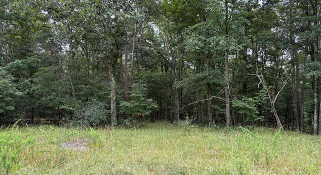 Photo of 9.31 AC Pine Tree Dr, Bloomery, WV 26817